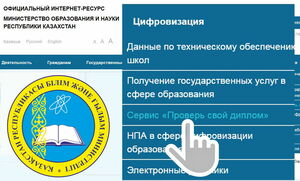 Дутые профи