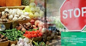Более 560 тонн сельхозпродукции не разрешили ввезти в Казахстан из России и Ирана
