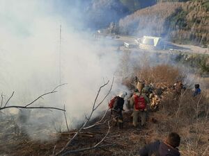 В Алматы горел склон горы Мохнатка