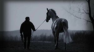 Такая лошадка нужна самому