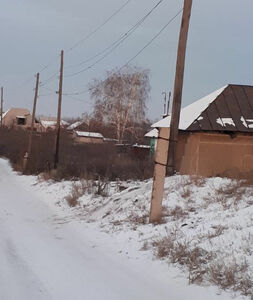 В дачном омуте вожди заводятся,