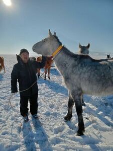 Светить везде