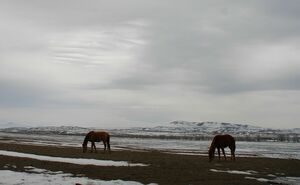 Уровень беспокойства