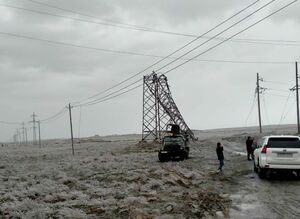 Дайте срок