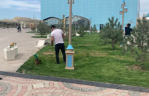 Швабрами разве красят?