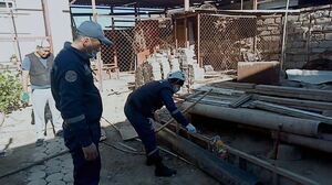 Может, и не ядовитая, но всё равно страшно