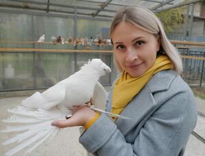 Окрылённые
