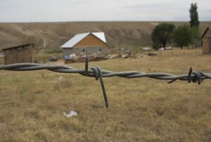 Опять оскандалились