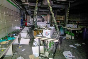 Покупай, но проверяй
