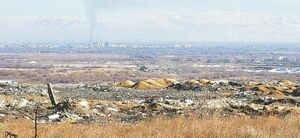 Заткните нос, зажмурьте глаза