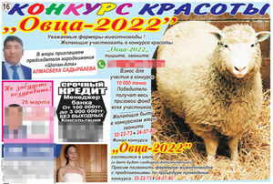 Гуляй, овца!