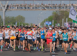 Забег чемпионов