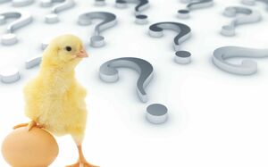 Курица или яйцо Конституции?