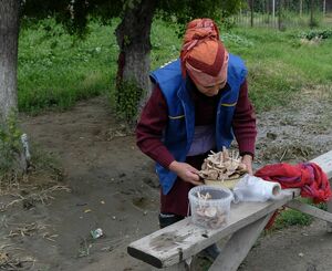 Грузите  шампиньоны бочками!
