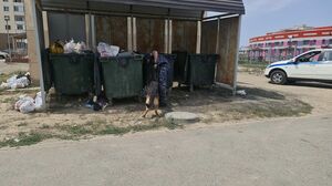 Ребёнок  на помойке