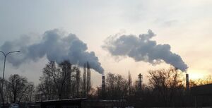 Станет всем светлей