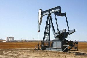 Топят за нефть
