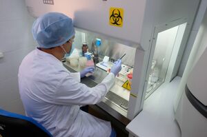 Решили опередить события