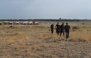 Завтраки на траве