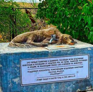 Спасите  эти души