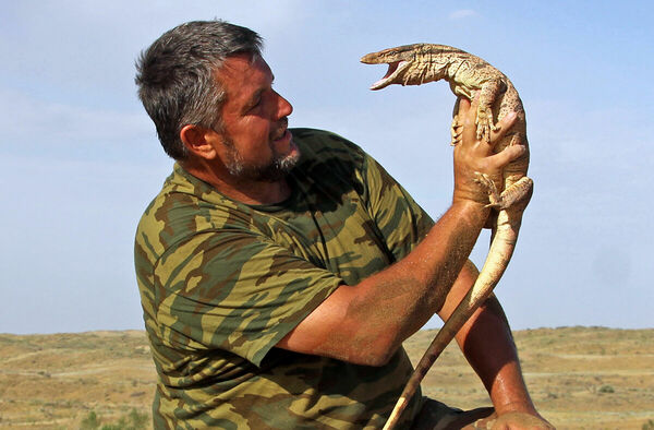 Рога изобилия