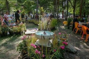 Красота и мобильность