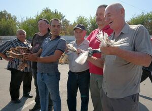 Расправили крылья