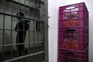 Обложил и забыл