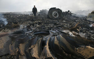 Трагедия рейса MH17: развязка близка