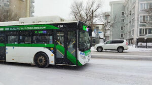 Эко невидаль