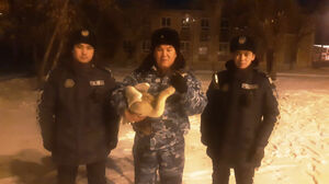 Камнем в сугроб