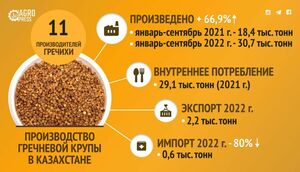 Проблем с гречкой в Казахстане нет