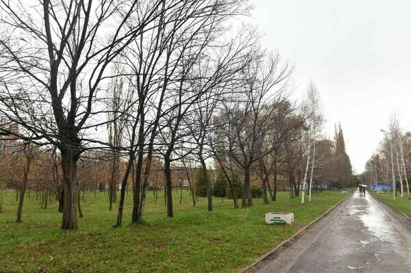 “Южный” восстановлен в прежних границах