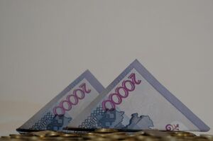 Вложения  в чужой карман