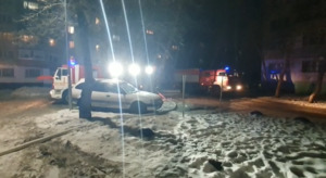 Примечательный сосед