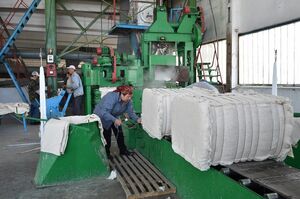 Хлопкоробы в сомнениях