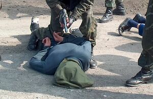 Ликвидация банды