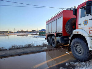 Волна забот