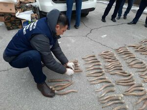 Рога в изобилии