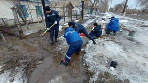 Весенний переполох