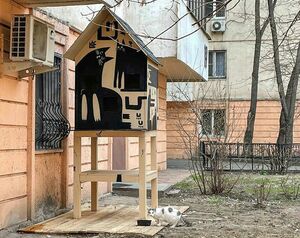 Кошкин дом
