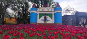 Символ города повсюду