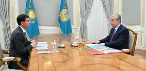 Глава государства принял председателя совета директоров АО «Группа компаний Allur»