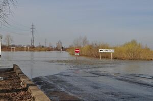 Хочешь суши - готовься к воде