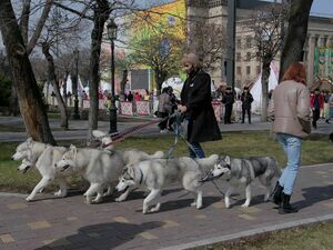 Как-то не по-человечески…
