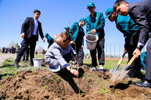 Зелёный порыв молодежи