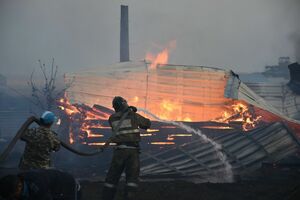 Камышовый ад
