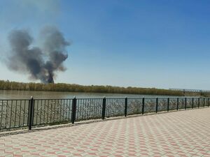 Смогом повеяло