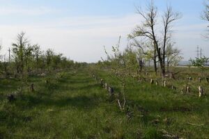 Постарались от всей души