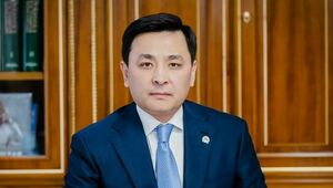 Токаев освободил Кульгинова от должности вице-премьера